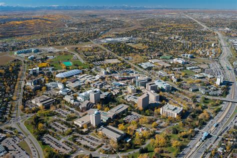 u of calgary.